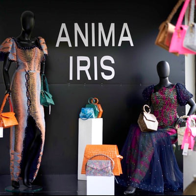 Anima Iris Pop-up At The Lotte Accra
