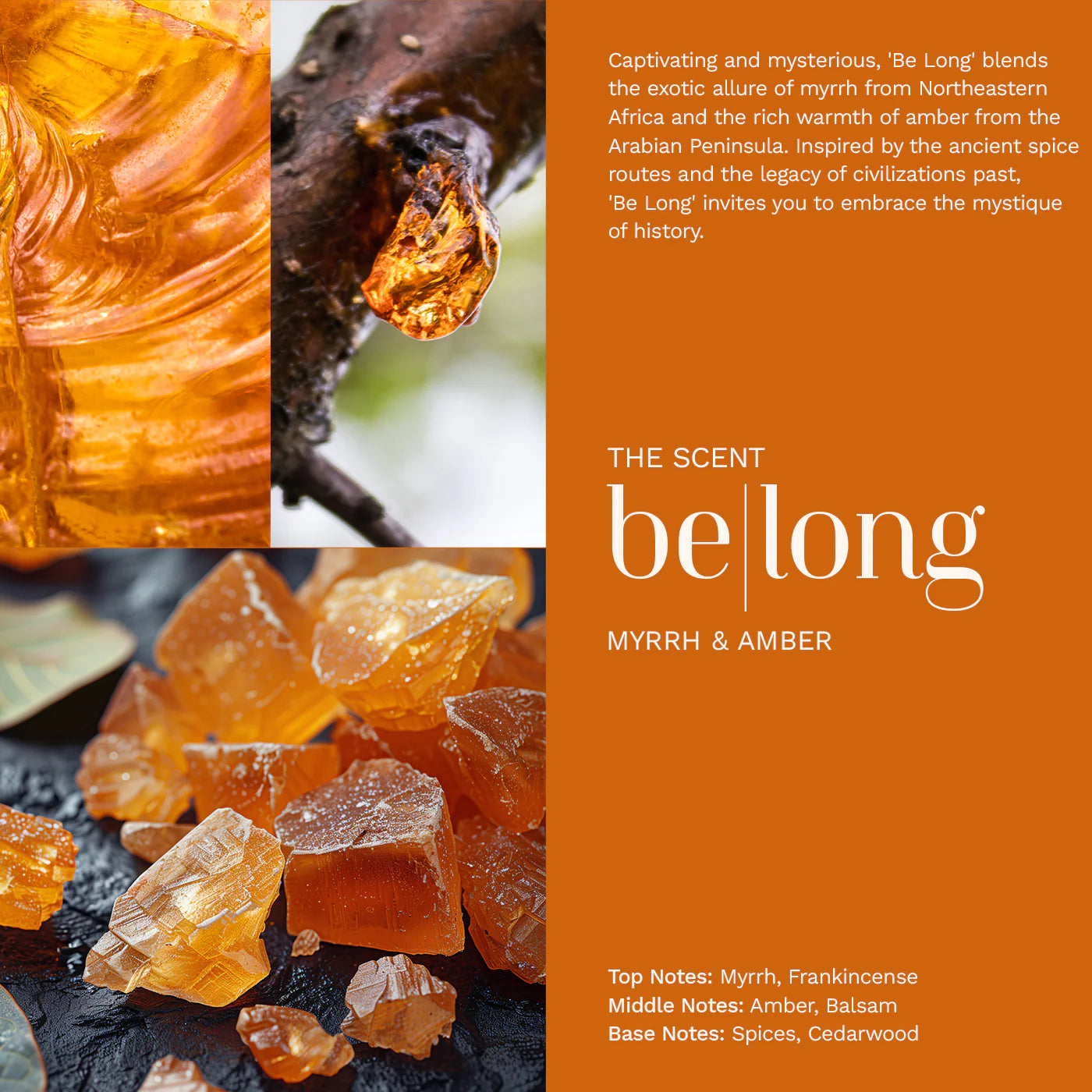 AMBIANCE BY TALATA - BE LONG BODY LOTION